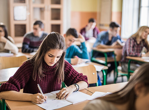 Støjværn i skolen hjælper med læring og koncentreret arbejde. En pige arbejder koncentreret i klasselokalet på en skole med lydværn og støjværn.