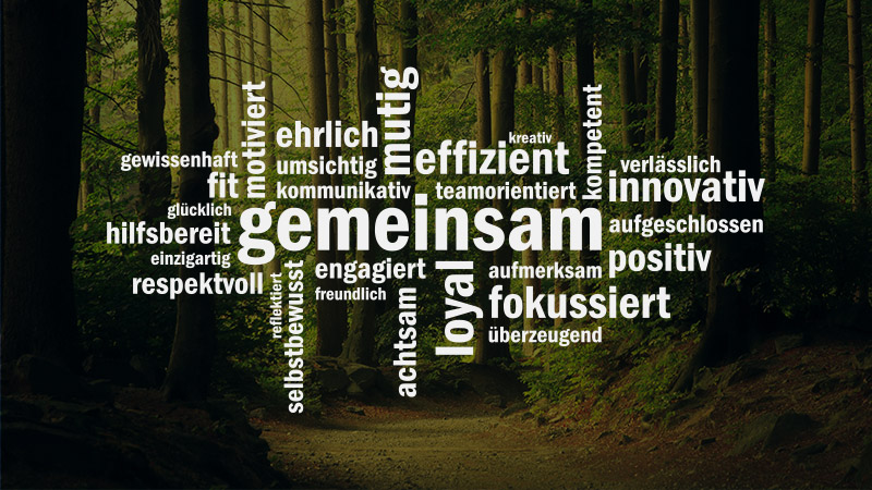 aixFOAM virksomhedskultur